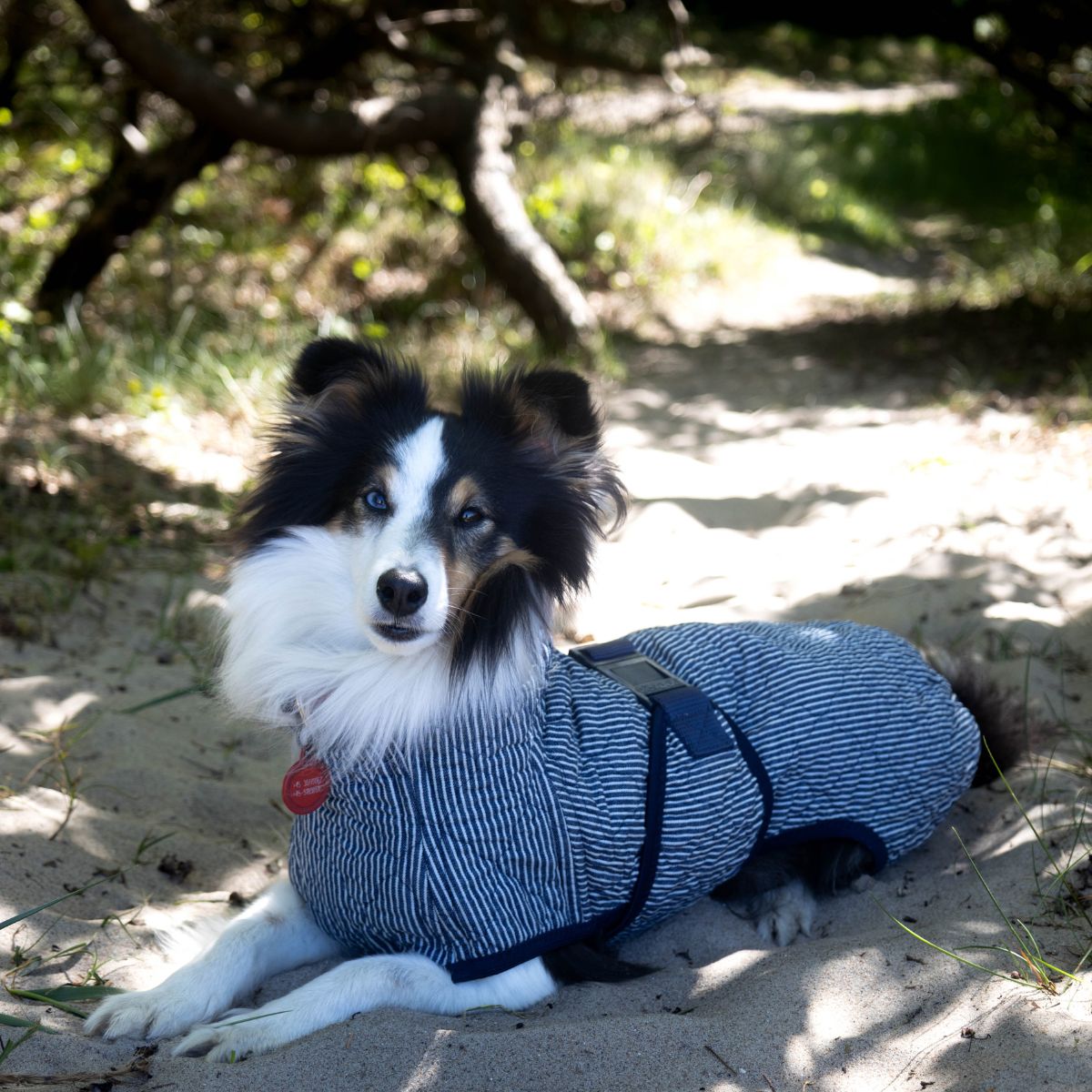 Denim Summer Edition / 40