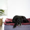 FlexDog torkmatta / 70x110