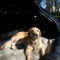 FlexDog Mat Light / 70x110