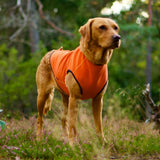 Siccaro Pro-tect Advanced - L Warming coats