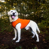 Siccaro Pro-tect Advanced - L Warming coats