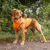 Siccaro Pro-tect Advanced - L Warming coats