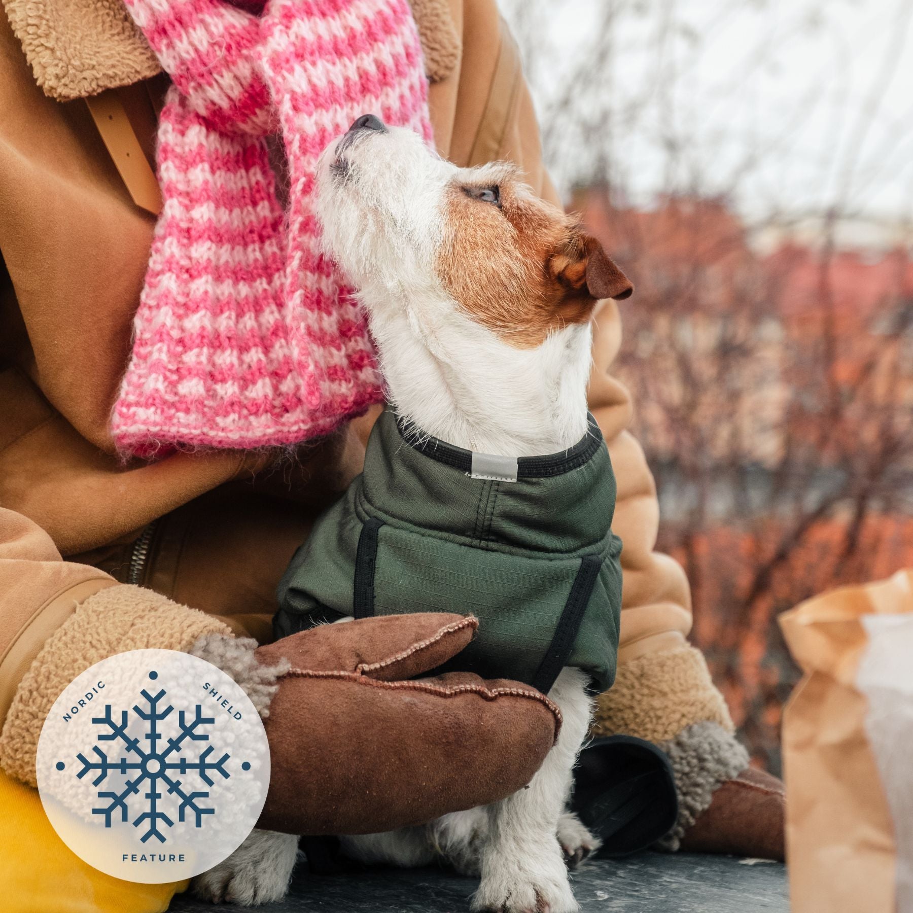 RainForce / 25 – Nordic Shield Feature