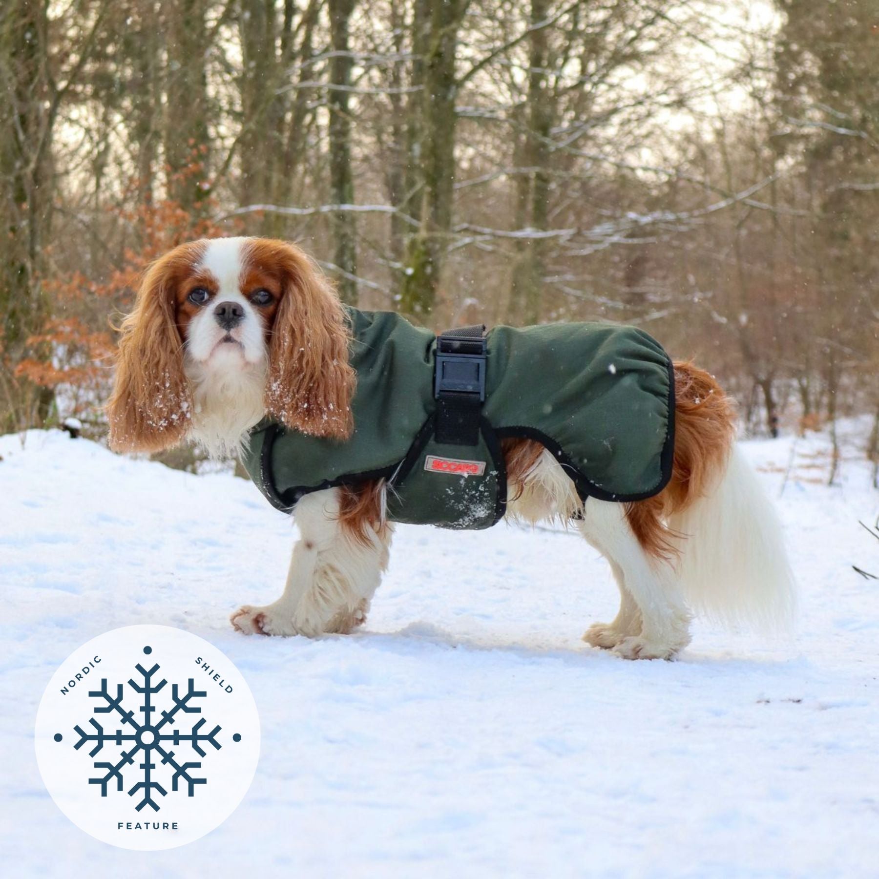 RainForce / 35 – Nordic Shield Feature