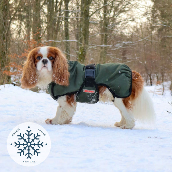 Siccaro RainForce – Nordic Shield / 35 Rain coats