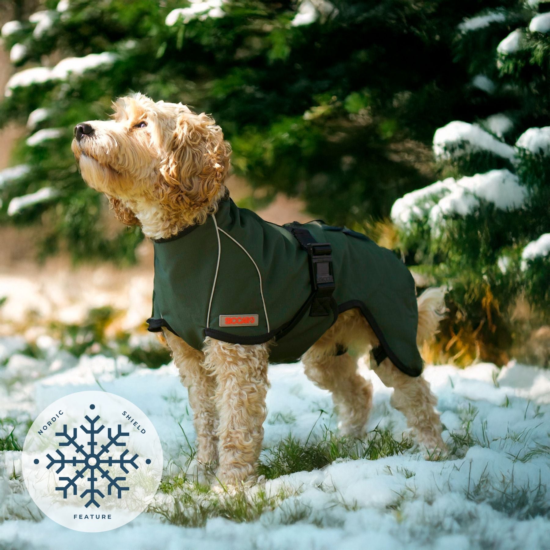 RainForce / 45 – Nordic Shield Feature