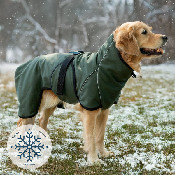 Siccaro RainForce – Nordic Shield / 60 Rain coats