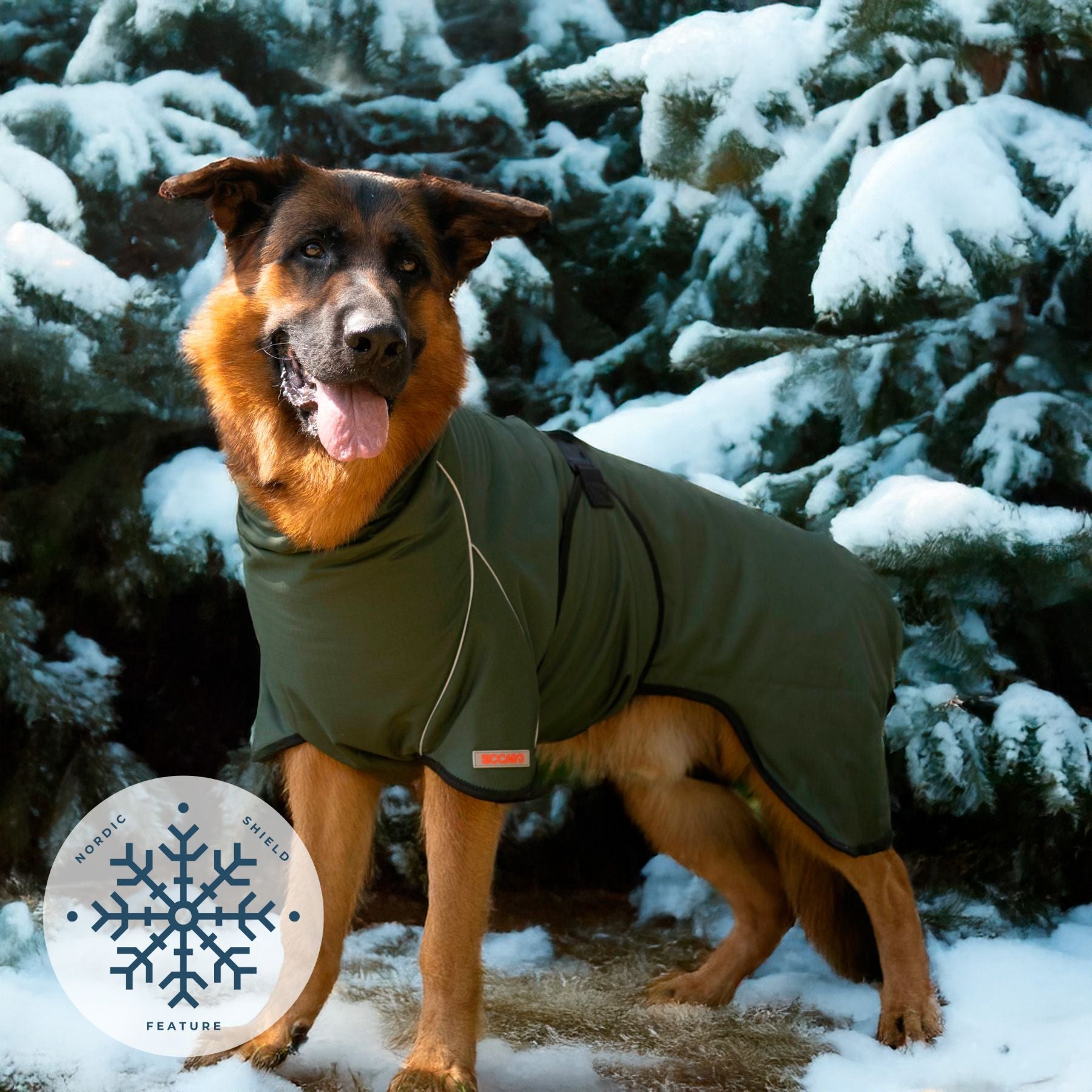 RainForce / 70 – Nordic Shield Feature