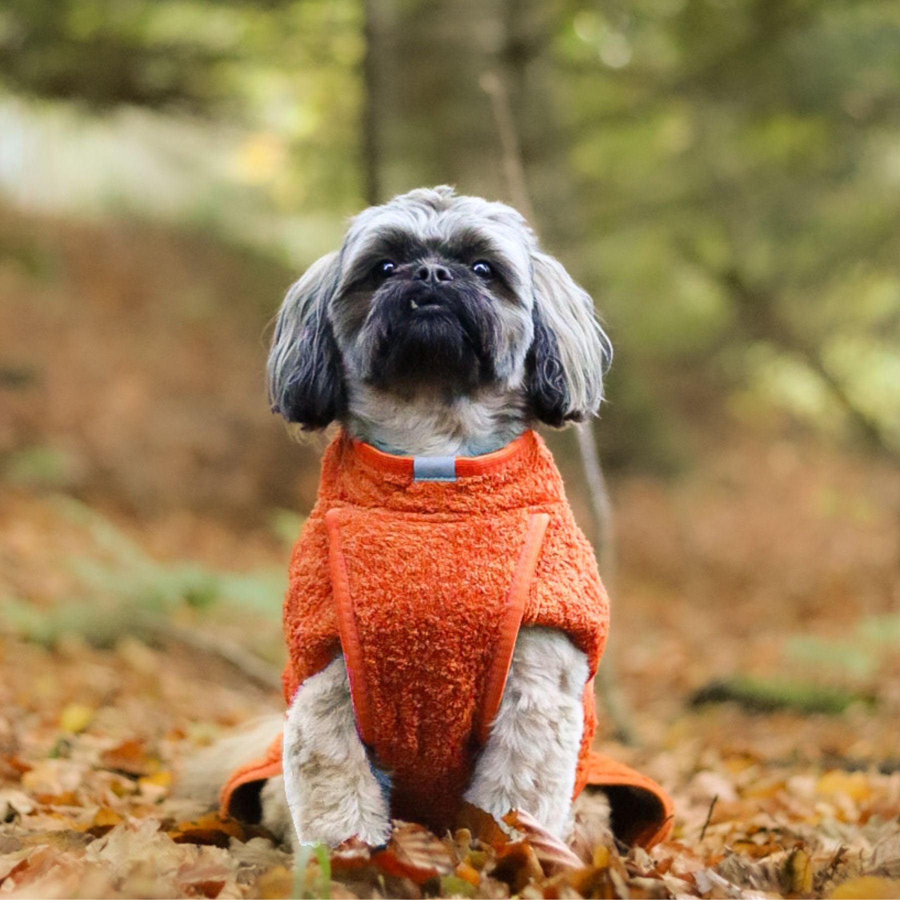 Smart / Torkdräkt för hundar / 30