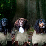 Siccaro Smart / Torkdräkt för hundar / 40 Drying Coats