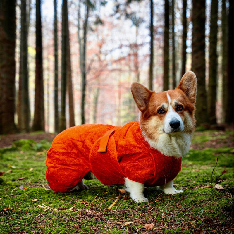 Siccaro Smart / Torkdräkt för hundar / 45 Drying Coats