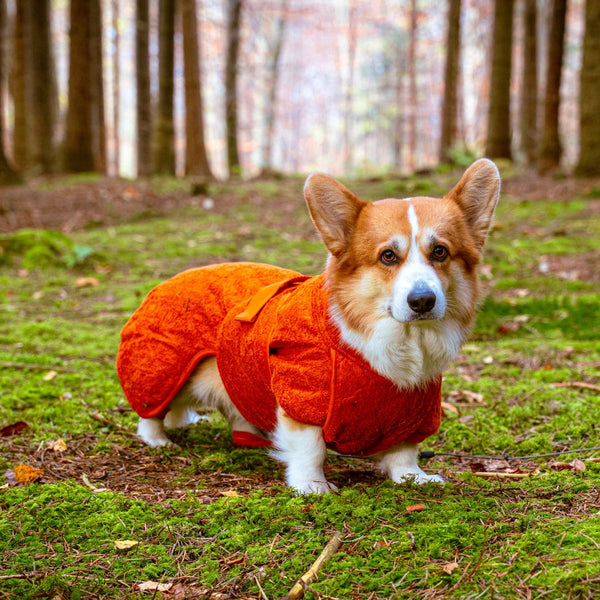 Siccaro Smart / Torkdräkt för hundar / 45 Drying Coats