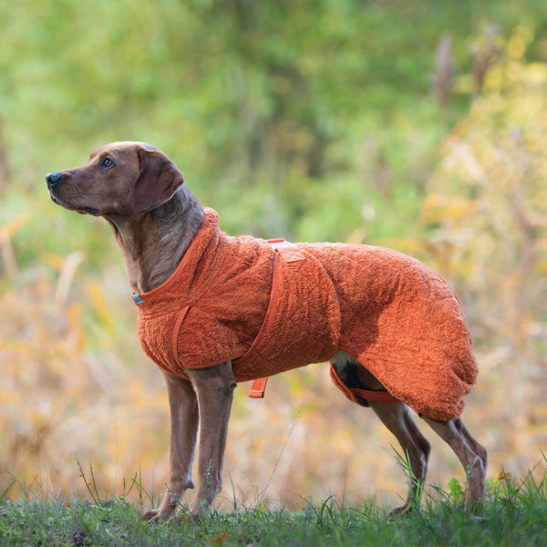 Siccaro Smart / Torkdräkt för hundar / 50 Drying Coats