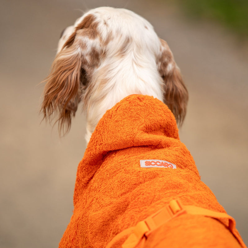 Siccaro Smart / Torkdräkt för hundar / 55 Drying Coats