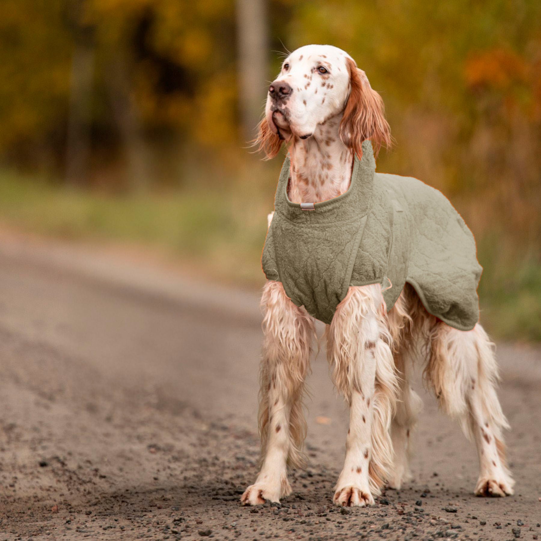Smart / Torkdräkt för hundar / 55
