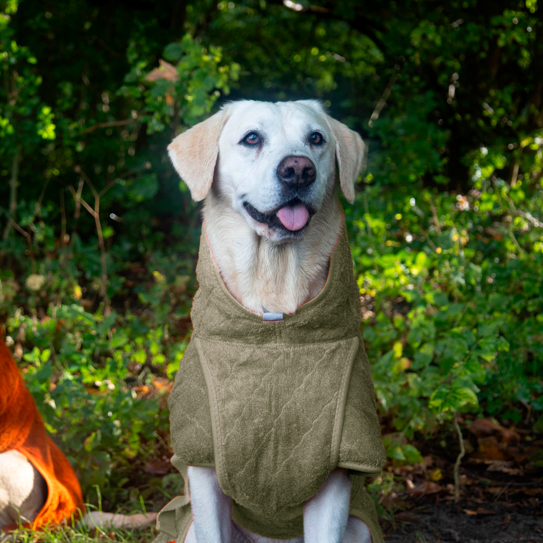 Smart / Torkdräkt för hundar / 60