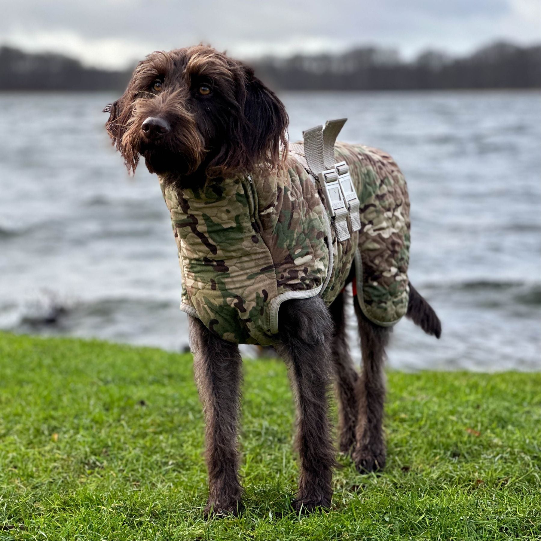 Spirit Pro - Limited Edition / L