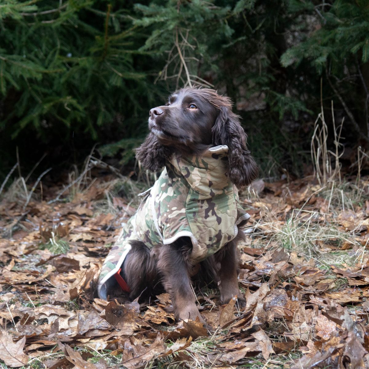 Spirit Pro - Limited Edition / M