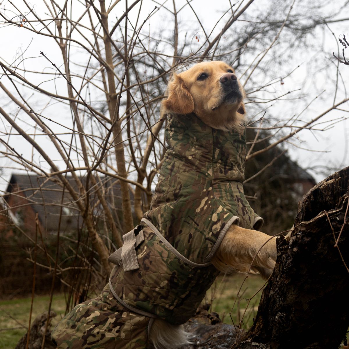 Spirit Pro - Limited Edition / XL