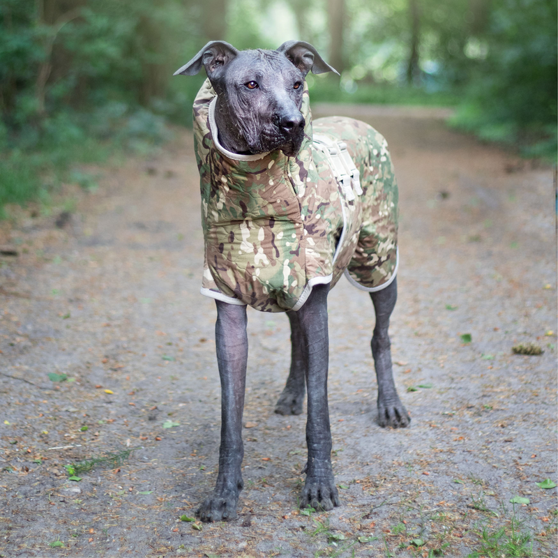 Siccaro Spirit Pro - Limited Edition - XXL Drying Coats