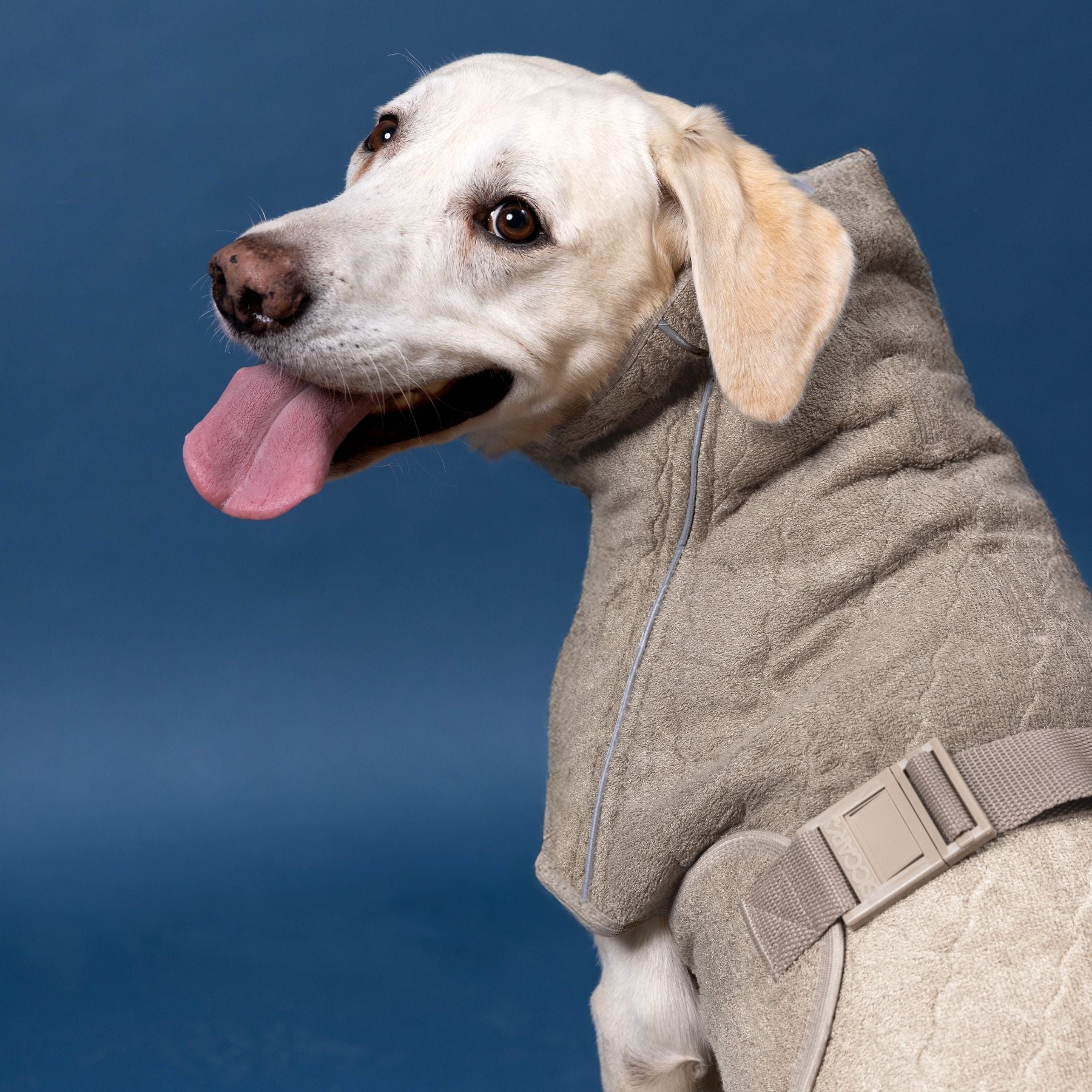 Supreme 3.0 SAND / 55